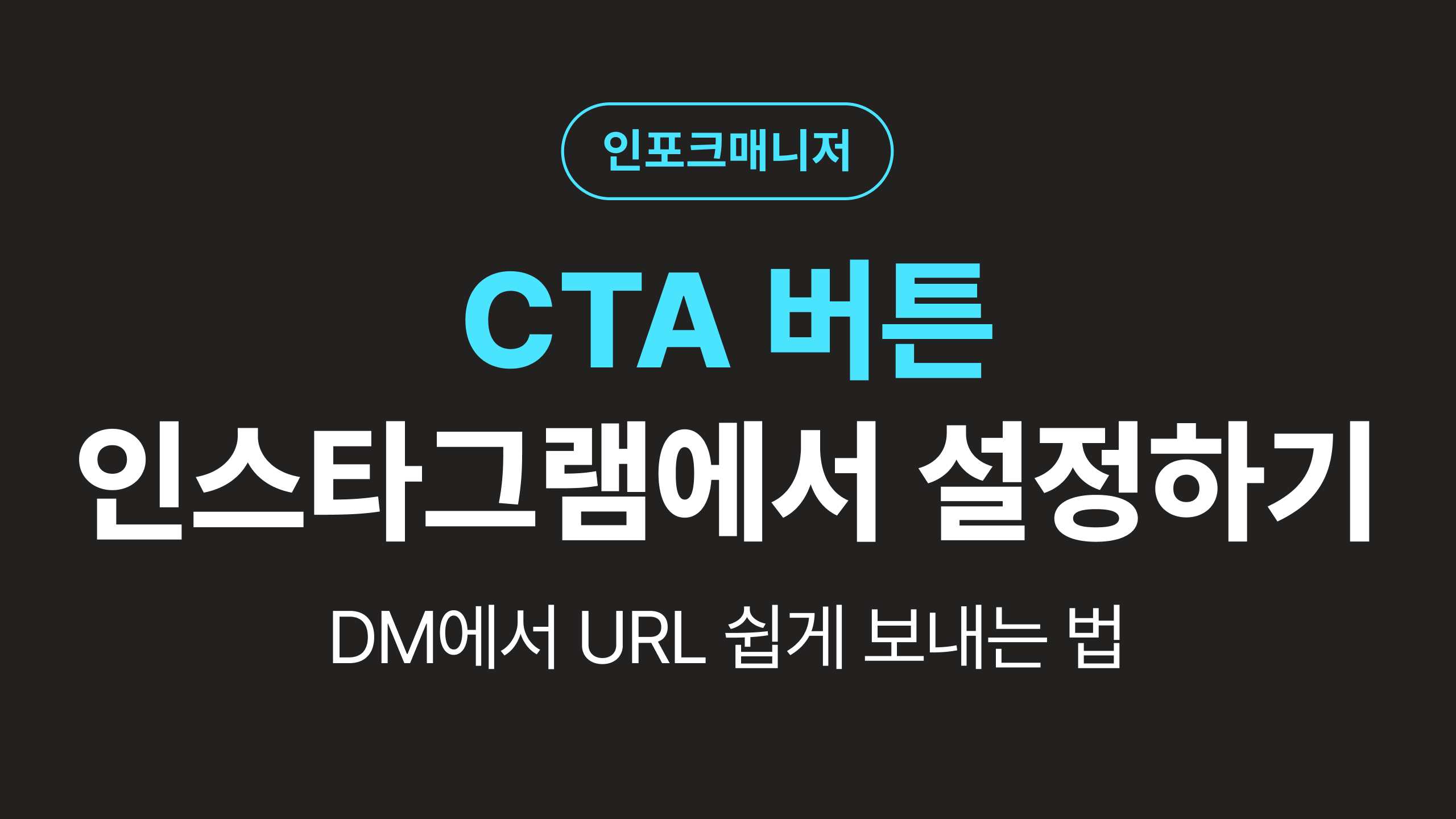 인스타그램 CTA 버튼, DM에서 URL 보내는 법